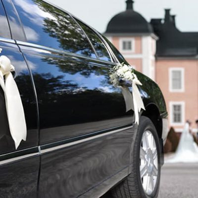wedd wedd